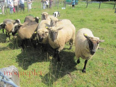 France - Balade du 29 juin - 2