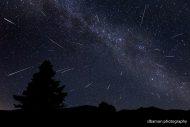 Image composite réunissant 27 météores photographiés au cours de la nuit du maximum d’activité des Perséides, entre le 11 et le 12 août 2016, dans la région de Parauta, en Andalousie. © Stacy Bamon, Flickr