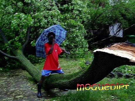 Montréal - Un jour d'orage