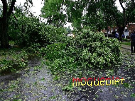 Montréal - Un jour d'orage