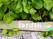 Verdure bois flotté (DIY)