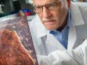 PORPHYRIE: sévérité directement liée protéine mutée Nature Communications