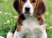 affaire retard avance