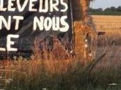 Besnier, exemple type libéralisme carnassier #Lactalis