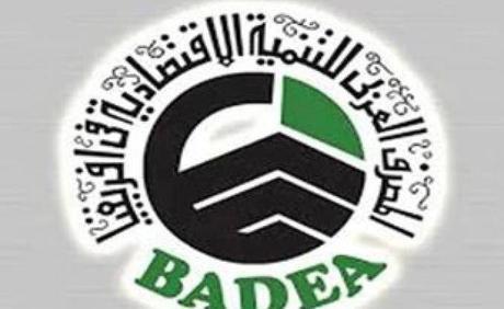 La Banque arabe de développement économique en Afrique (BADEA) à l’assaut des investisseurs arabes