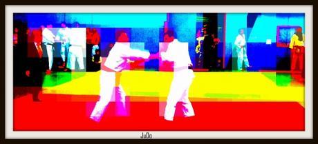 judo pau.jpg