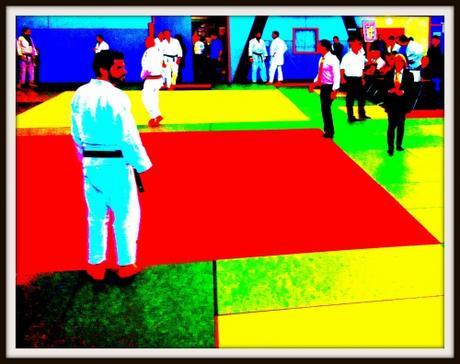 judopau2.jpg