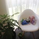 [DIY] Des coussins animaux réalistes funs et colorés