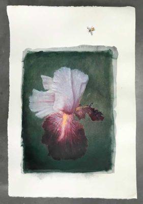 Exposition « Jeux  » Encres et aquarelles Lucio Fanti | La Flair Galerie – Arles