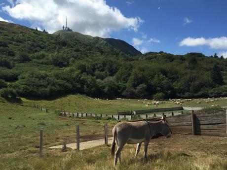 Carte postale du Puy de Dôme vu d'en bas