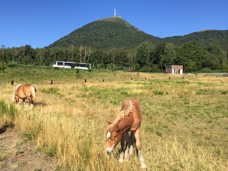 Carte postale du Puy de Dôme vu d'en bas