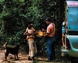 Lait de vache et soutiens-gorges