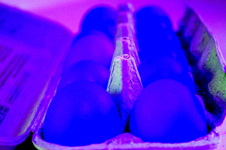 Le régime Dukan est il efficace ?