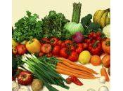 aliments plus nutritifs Terre