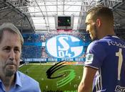 bentaleb schalke rajevac heureux