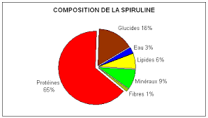LA SPIRULINE : L’ALGUE DES SPORTIFS images-1