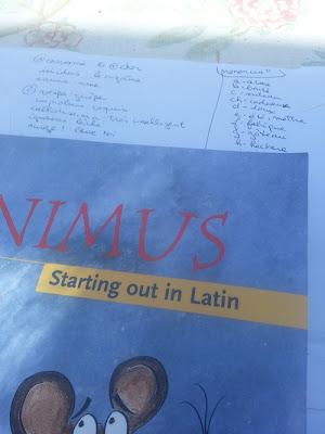Quelques notions de latin (suite)