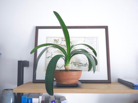 appartement deco mix and match paris