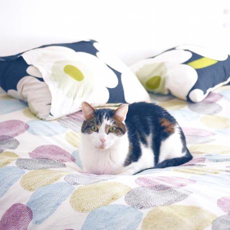 Chez Floriane et Julien, un appartement à la déco mix and match appartement deco mix and match paris