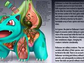 illustrateur dévoile livre d’anatomie dédié Pokémon