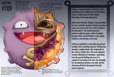 Cet illustrateur dévoile un livre d'anatomie dédié aux Pokémon