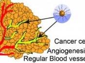 CANCER: L'approche métronomique fige progression tumorale Chemistry Materials