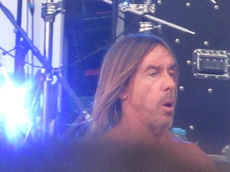 iggy-p.JPG