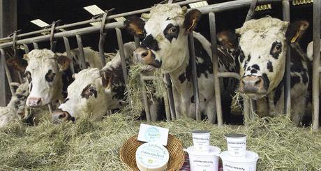 Lait : la filière bio échappe à la crise