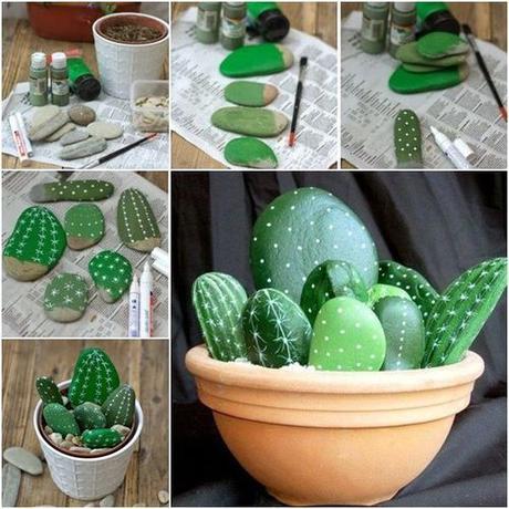 cactus en galet