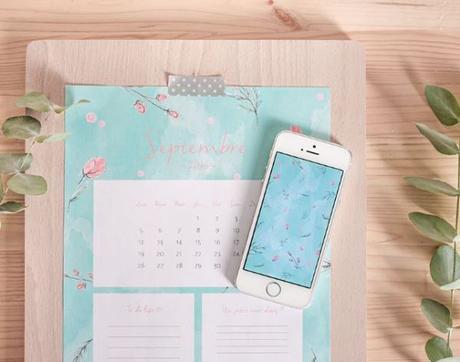 Fonds d’écrans gratuits, c’est la rentrée !