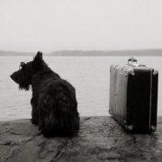 Exposition «Ailleurs» jardin Raymond VI | Toulouse