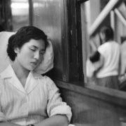 Exposition «Ailleurs» jardin Raymond VI | Toulouse