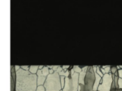 Diane Régimbald [J’écris mort]