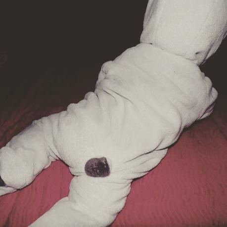 PROJET 52. #33 #34 #35