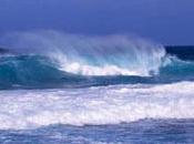 Quand l’océan meurt, planète aussi