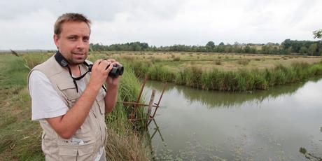 Les spécialistes de la Ligue pour la protection des oiseaux, comme Nicolas Gendre dans le marais rochefortais, constatent la disparition de nombreuses espèces