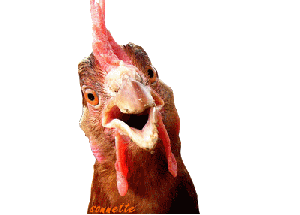 Chronique de l’humour: Génération X-Y-Z