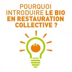 Ma Cantine Bio Pour une cantine goûteuse et durable