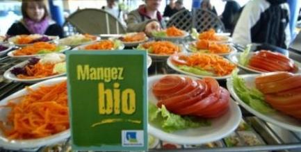 cuisine collective bio