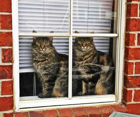 Quelques failles de Matrix dans la vie réelle.