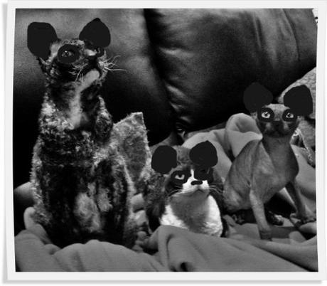 joyeux noel panda.jpg