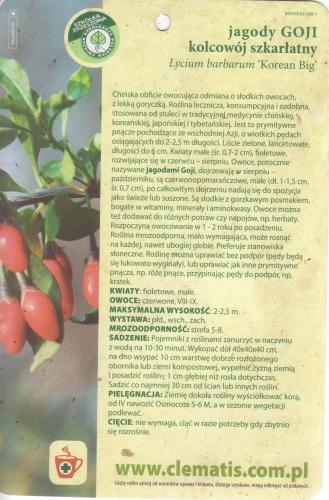 lycium korean 02 001.jpg