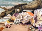 Semaine Aout Septembre 2016