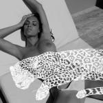 COVER : Ilias Walchshofer