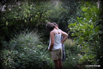 Le jardin de Tiziana ...