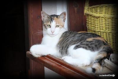 Le jardin de Tiziana ...