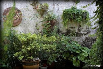 Le jardin de Tiziana ...