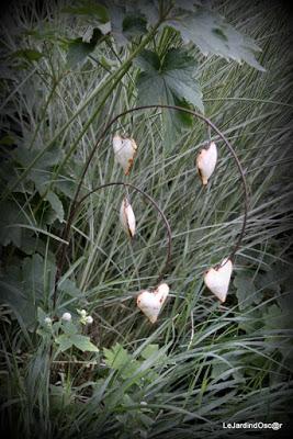 Le jardin de Tiziana ...