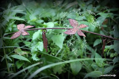 Le jardin de Tiziana ...