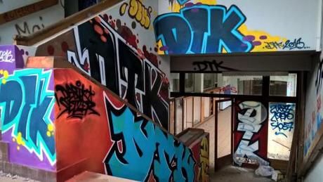 12809529_1999990113560378_21734152455165481_n